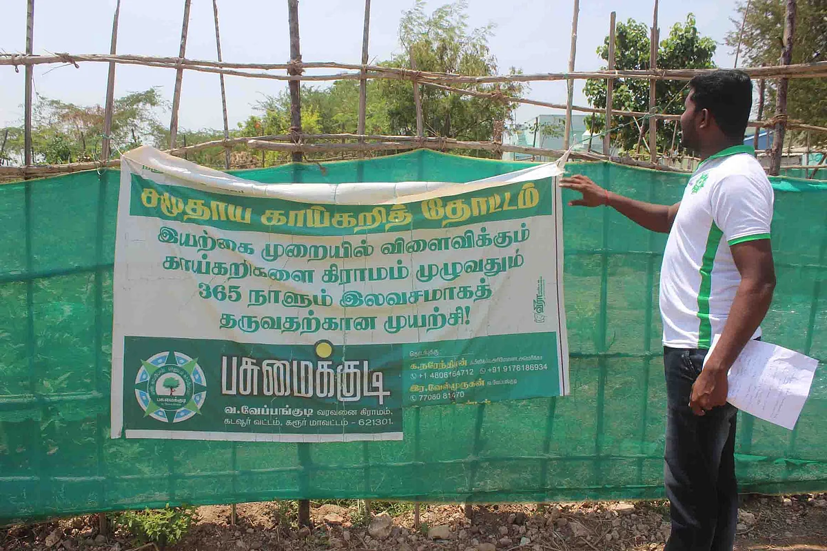 சமுதாய காய்கறித் தோட்டம்