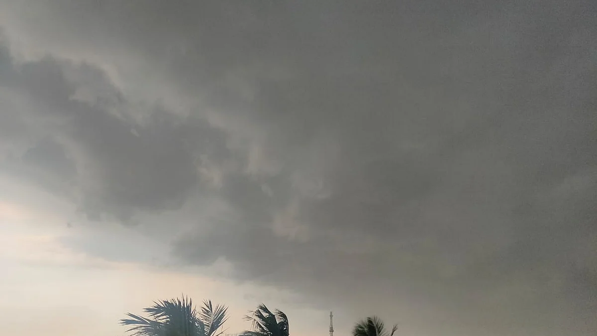 மழை