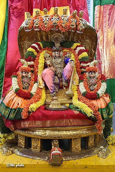 சேஷ வாகனம்