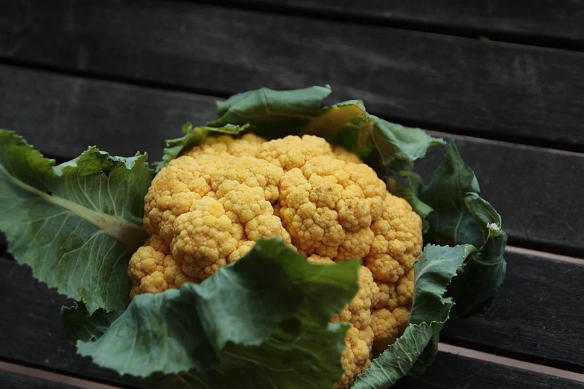 Cauliflower