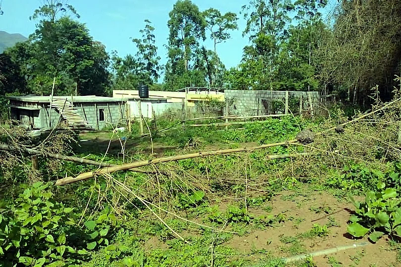 மூங்கில் தடுப்புகளை அமைத்த பழங்குடிகள்