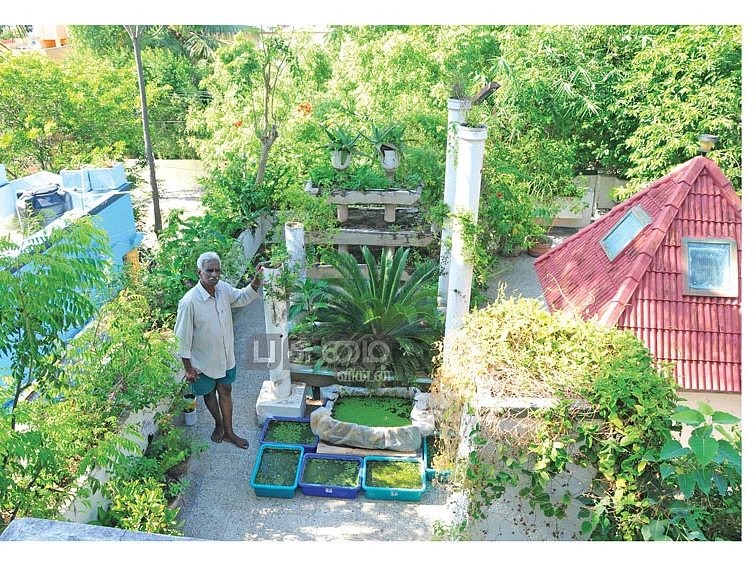 வறட்சியிலும் எங்கள் வீட்டில் தண்ணீர் இருக்கிறது! - வீட்டுத்தோட்ட முன்னோடி 'பம்மல்' இந்திரகுமார்!