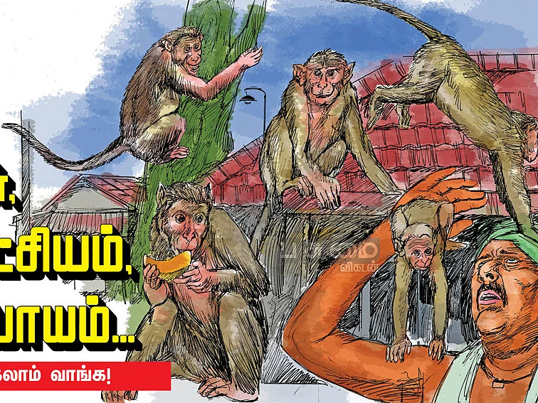 "குரங்குங்ககிட்டேயிருந்து எங்களைக் காப்பாத்துங்க!" -
கதறும் கிராம மக்கள்!
