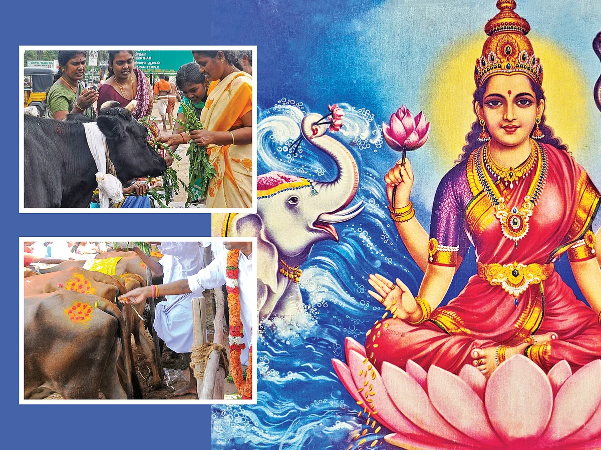 தோஷங்கள் தீர்க்கும்
கோ மாதா வந்தனம்!