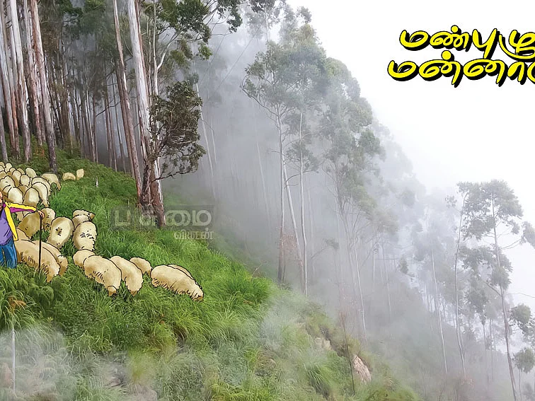 மண்புழு மன்னாரு: ஆடு... வாழ்வும் தரும்... வீழ்வும் தரும்!