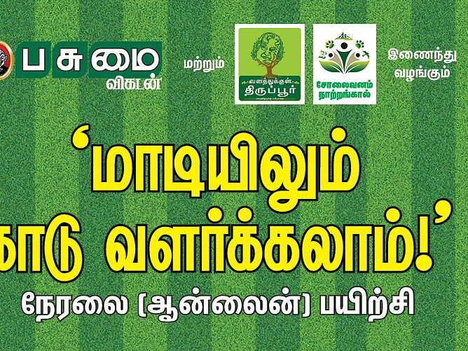 `மாடியிலும் காடு வளர்க்கலாம்!' - வழிகாட்டும் பசுமை விகடனின் ஆன்லைன் நிகழ்ச்சி