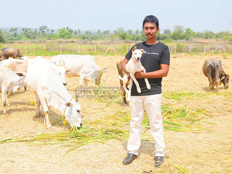 கால்நடைகளின் 'காப்பான்!'