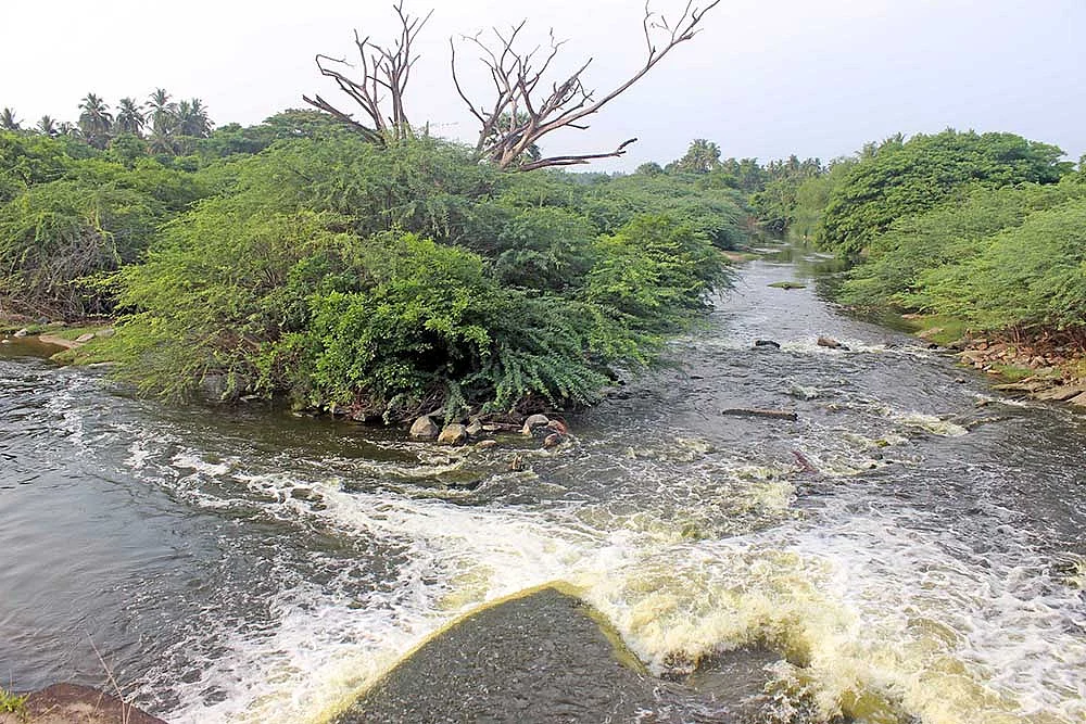 கதவணை கட்டாதீங்க! - கதறும் கரூர் விவசாயிகள்... காதுகொடுக்குமா புதிய அரசு?