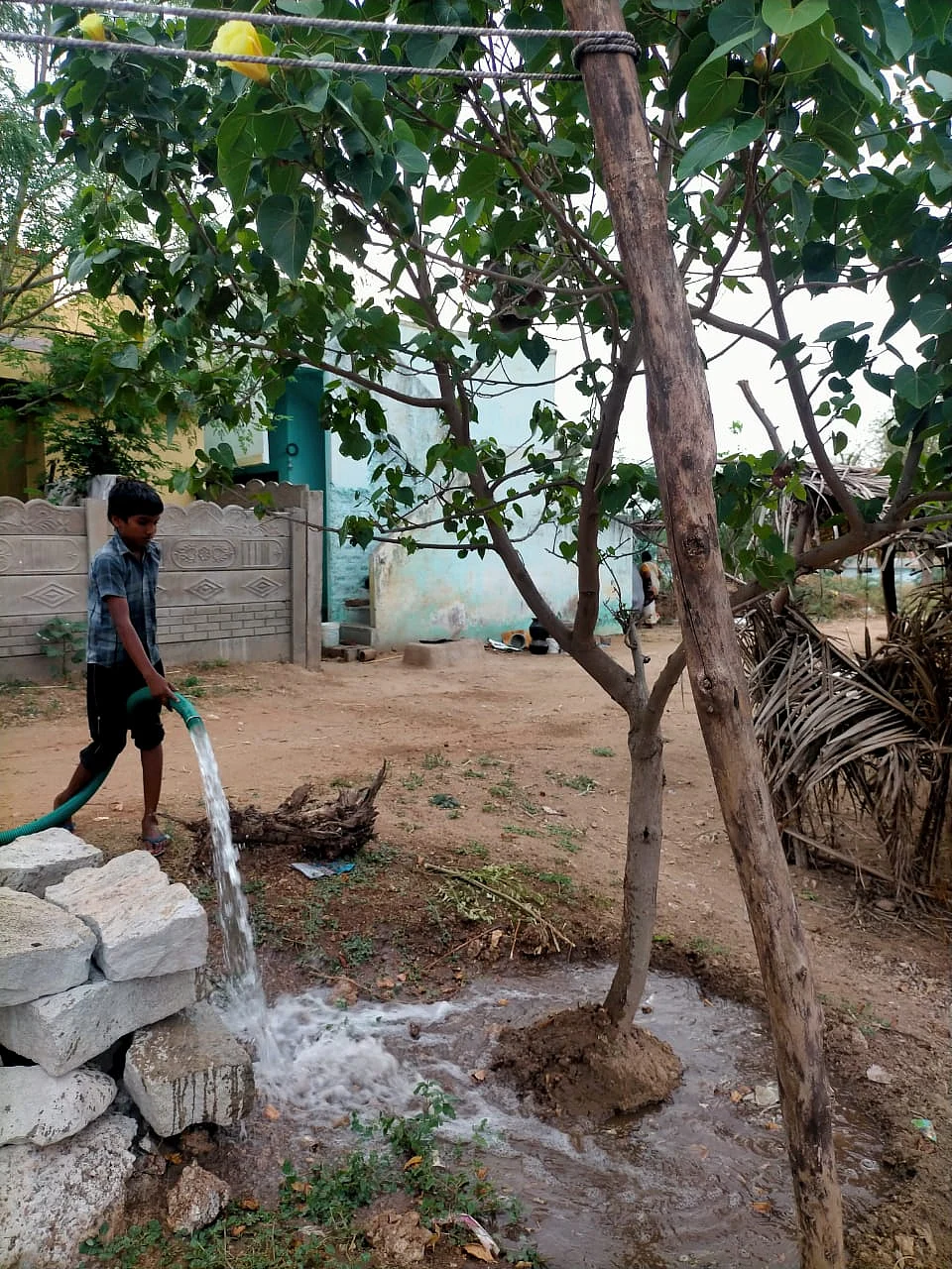 தண்ணீர் பாய்ச்சும் சிறுவன்