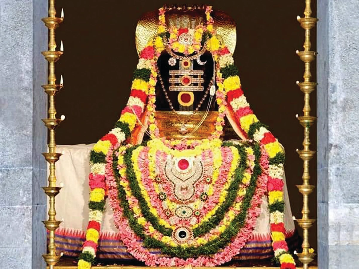 கனவை நனவாக்கும் தெய்வங்கள்!