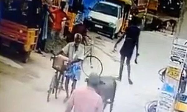 பட்டப்பகலில் அரிவாளுடன் வலம் வந்த ரௌடி