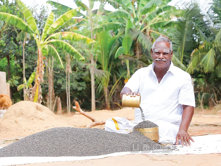 ஒரு ஏக்கர், 85 நாள்கள், ரூ.52,000... உளுந்து சாகுபடியில் உன்னத வருமானம்!