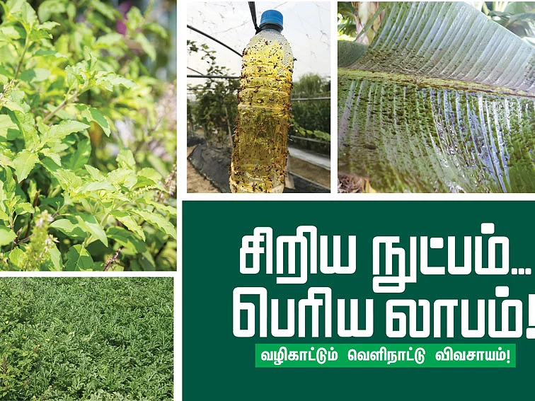 கவர்வோம்... காப்போம்! - வழிகாட்டும் வெளிநாட்டு விவசாயம் - 8
