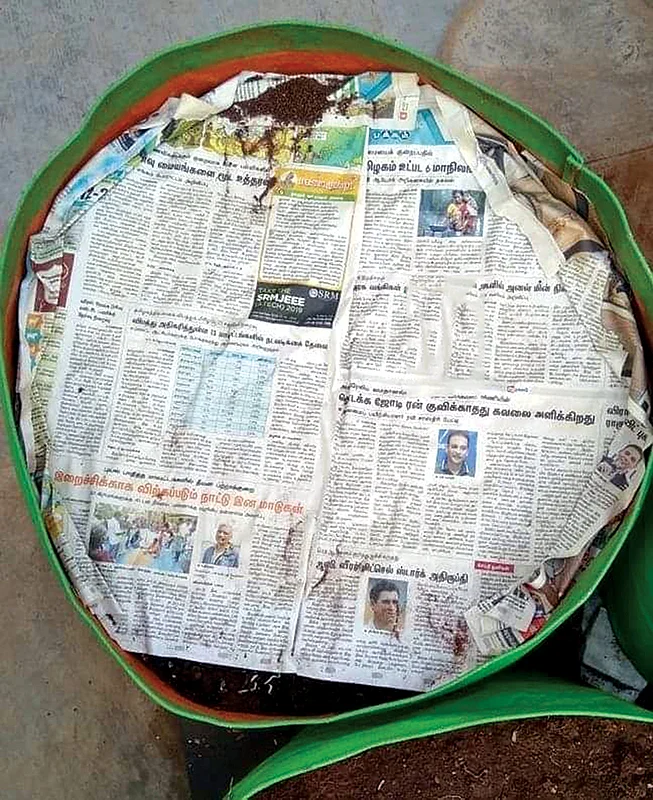 வீட்டுத்தோட்டத்தில் கொத்துக்கொத்தாக கொத்தமல்லி வளர்க்கலாம்!