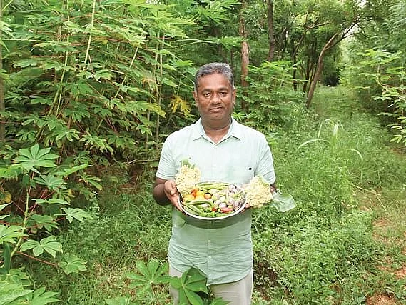 `ஒருமுறை செலவு; வருடம் முழுக்க வருமானம்' - அசத்தும் ஐந்தடுக்கு சாகுபடி! | Five Layer Farming
