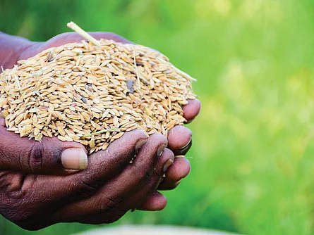 நெல் கொள்முதல்: ``ஆன்லைன் பதிவு இல்லாமலும் நெல் வழங்கலாம்!" - உணவுத்துறை அமைச்சர் அறிவிப்பு