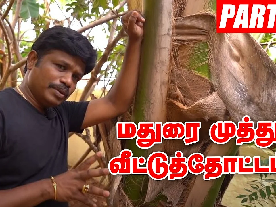 மதுரை முத்து வீட்டுத்தோட்டம் | Madurai Muthu Home garden - Part 2