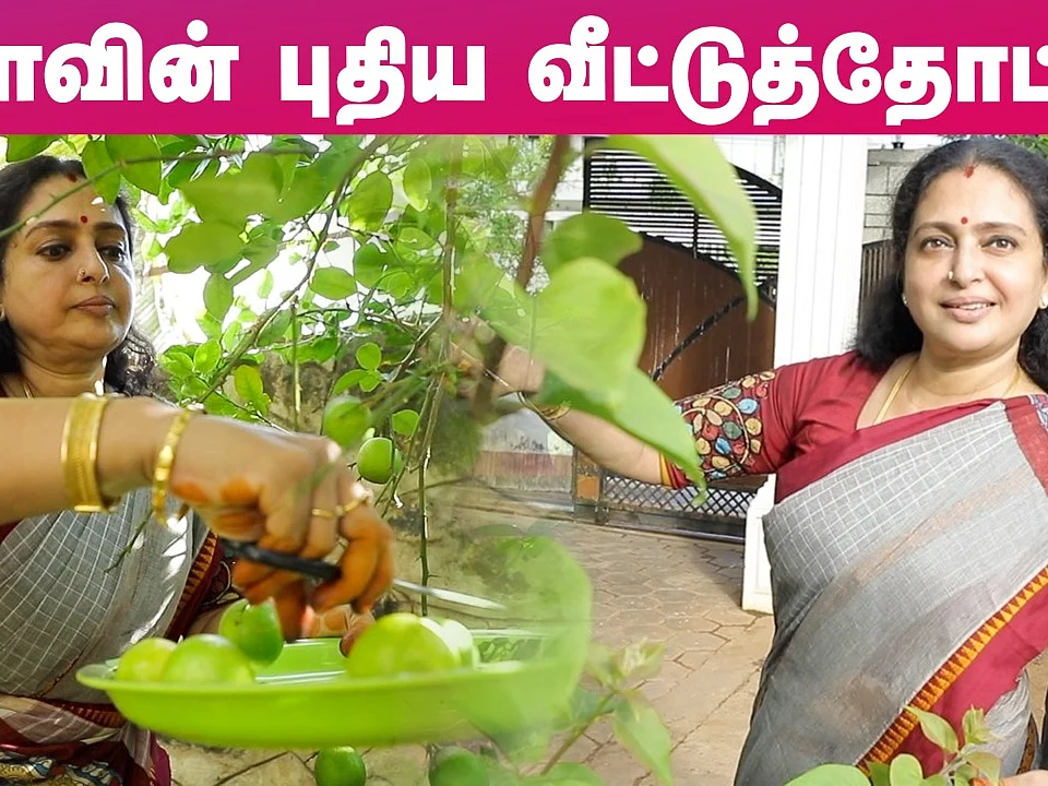Actress Seetha-வின் புதிய வீட்டுத்தோட்டம்! | Actress Seetha New Home Garden