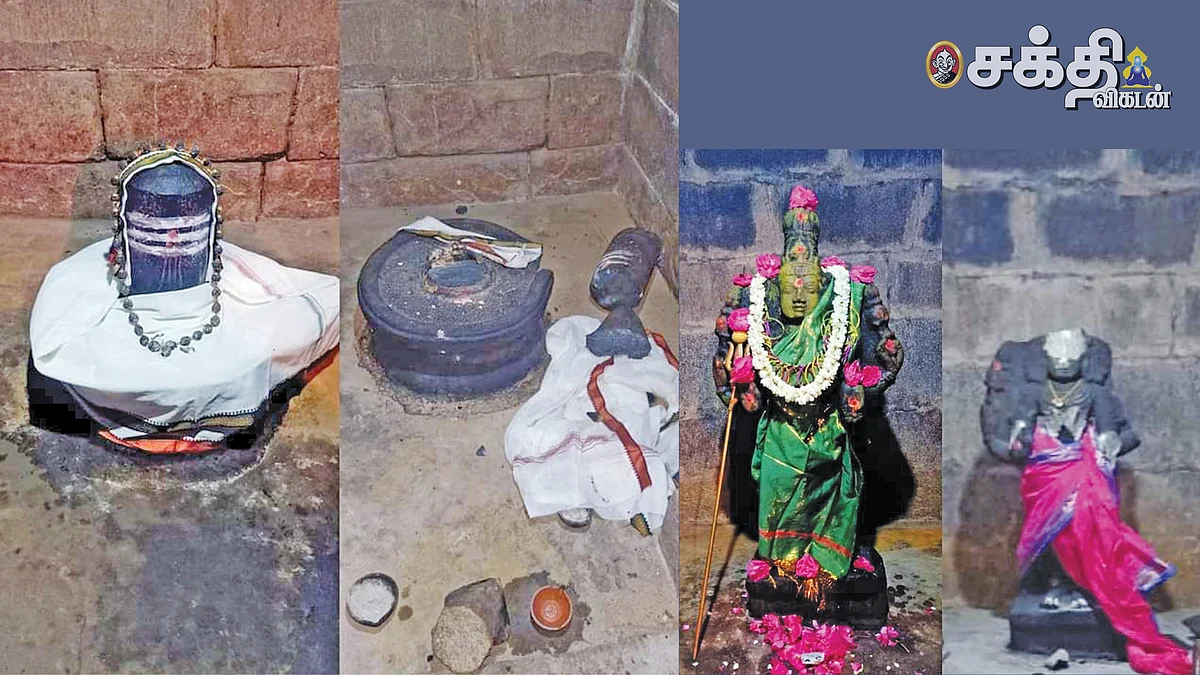 நாரதர் உலா