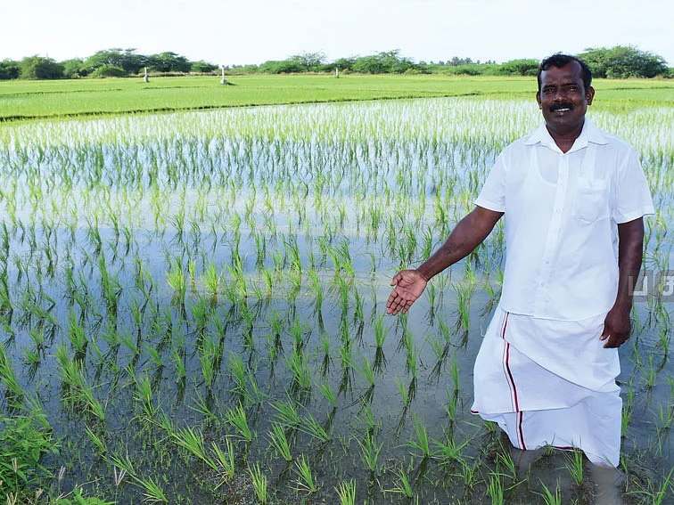 ஒரு ஏக்கர்... 110 நாள்கள்... ரூ.69,000 வருமானம்! குஷியான வருமானம் கொடுக்கும் குள்ளக்கார்!