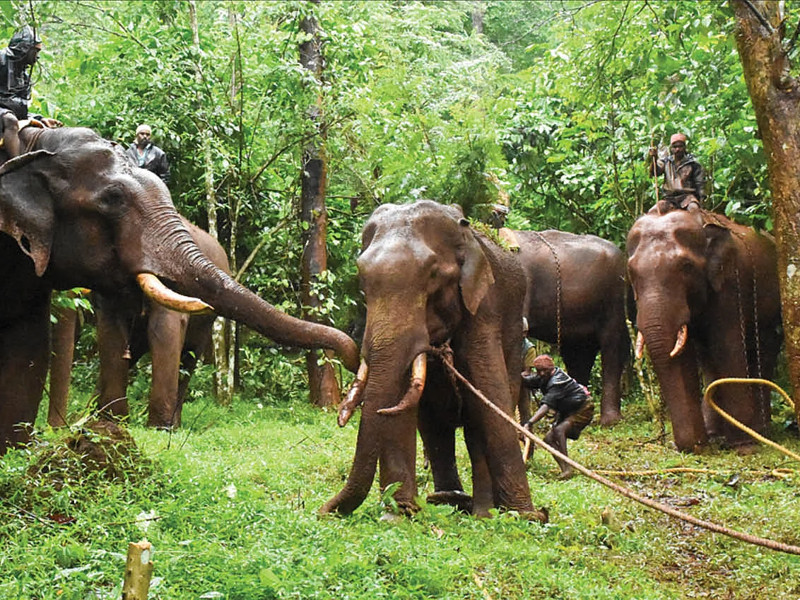காயம் ஆற்றும் காலம்!