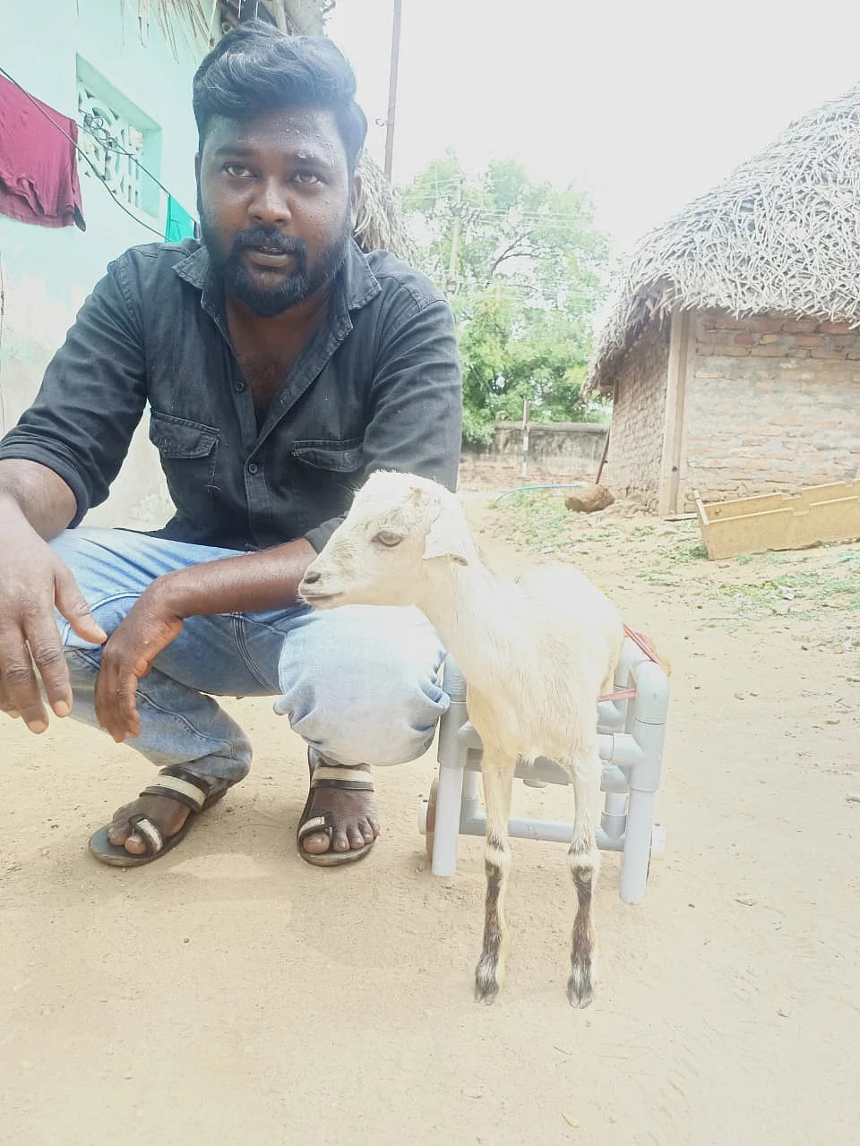சைமன்