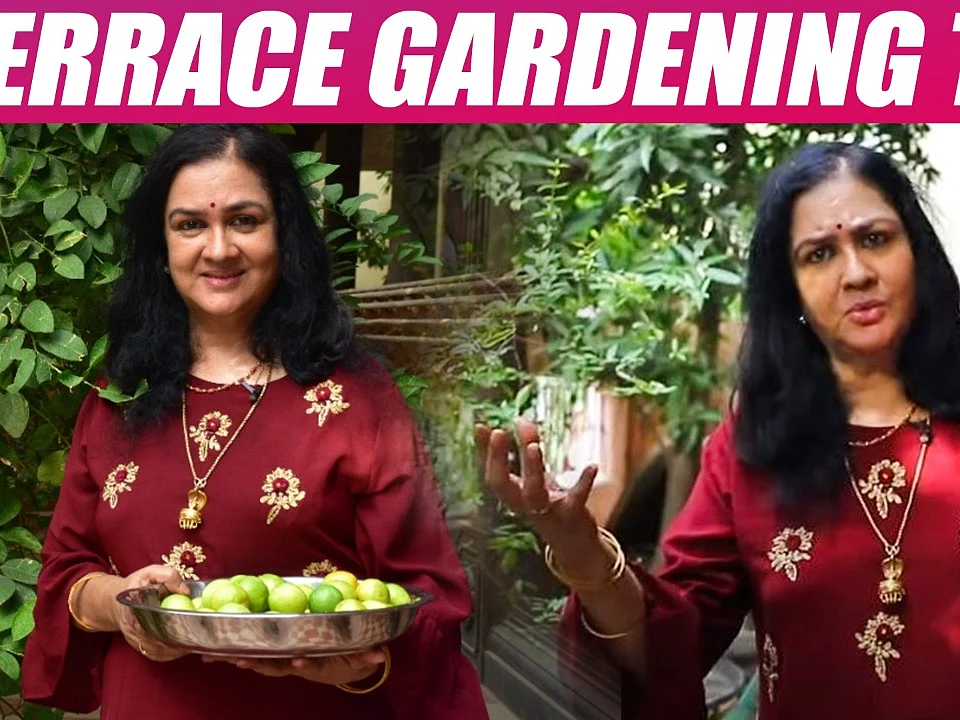 நடிகை ஊர்வசியின் வீட்டுத்தோட்ட டிப்ஸ்! | Actress Urvashi Terrace gardening tips