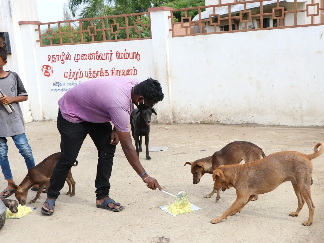 `கல்லால் அடிச்சவங்க இப்ப சாப்பாடு தர்றாங்க!' - 1000 நாய்களின் பசியாற்றும் சென்னை இளைஞர்