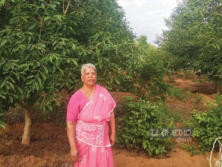 ஆண்டுக்கு ரூ.2 லட்சம்...
ஒரு ஏக்கரில் ஒருங்கிணைந்த பண்ணையம்!