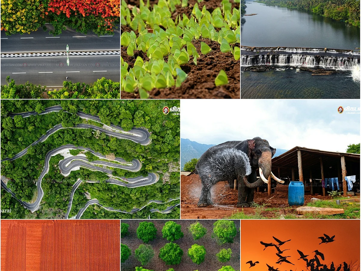 உலக சுற்றுச்சூழல் தினம்
