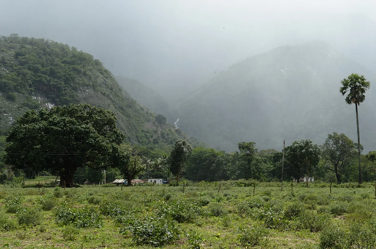 கோவை