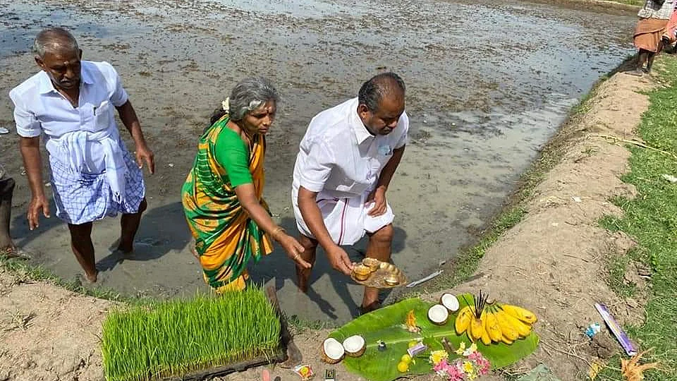 நடவுப்பணியை தொடங்கிய பூமிநாதன்