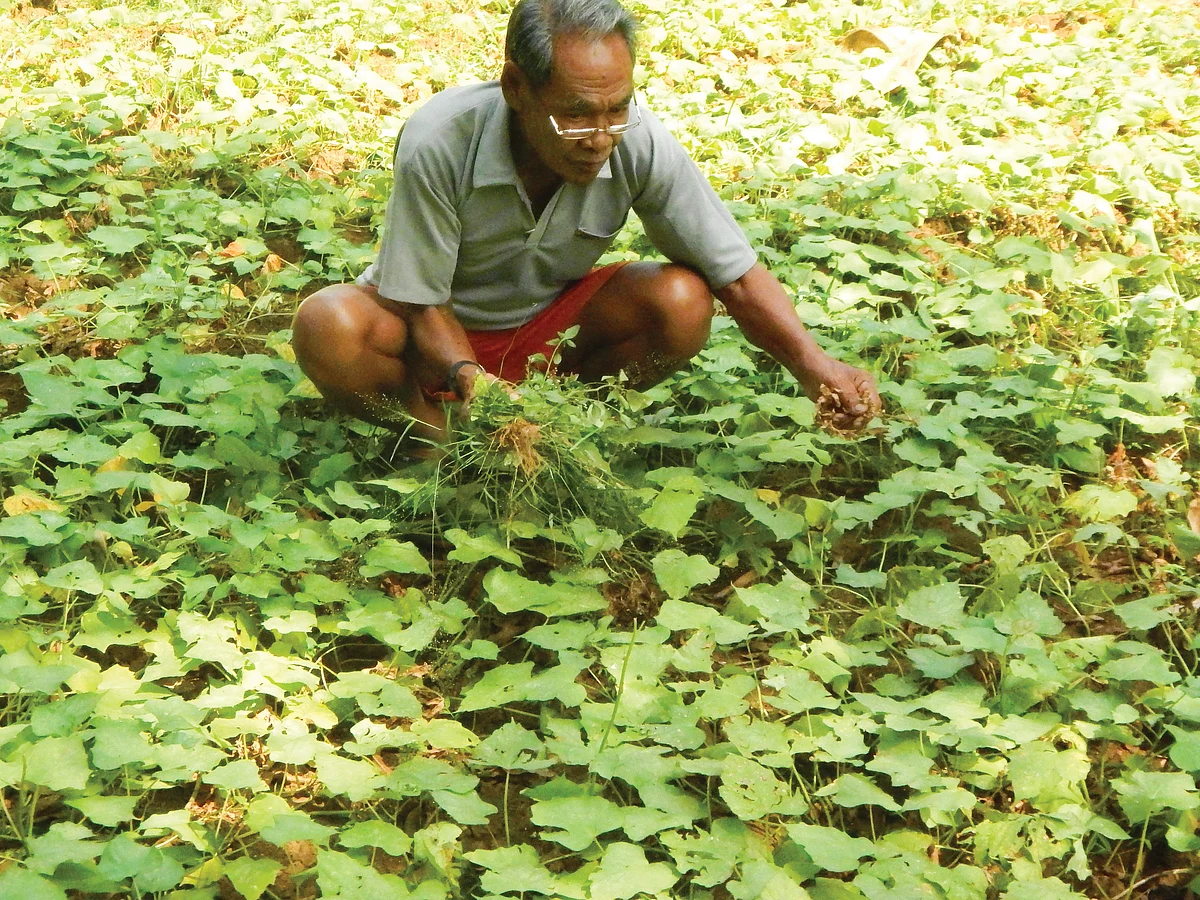 பாரம்பர்ய இயற்கை விவசாய முறைகள்