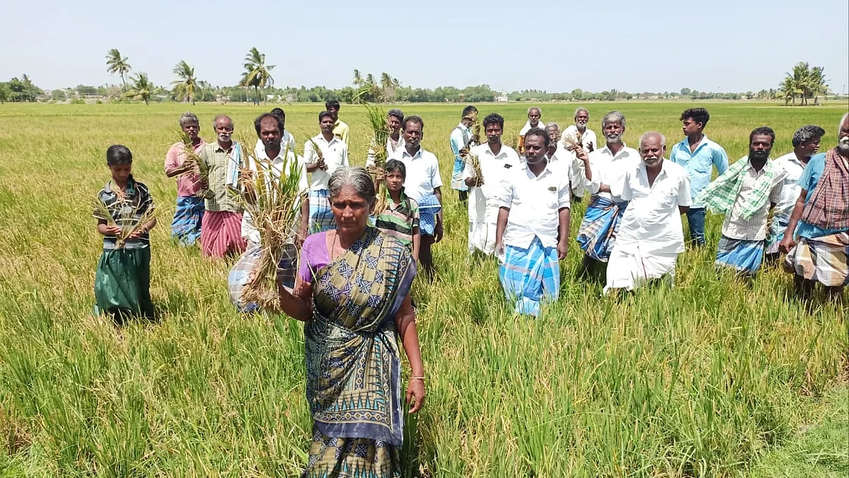 அத்தியூர் திருக்கை விவசாயிகள்