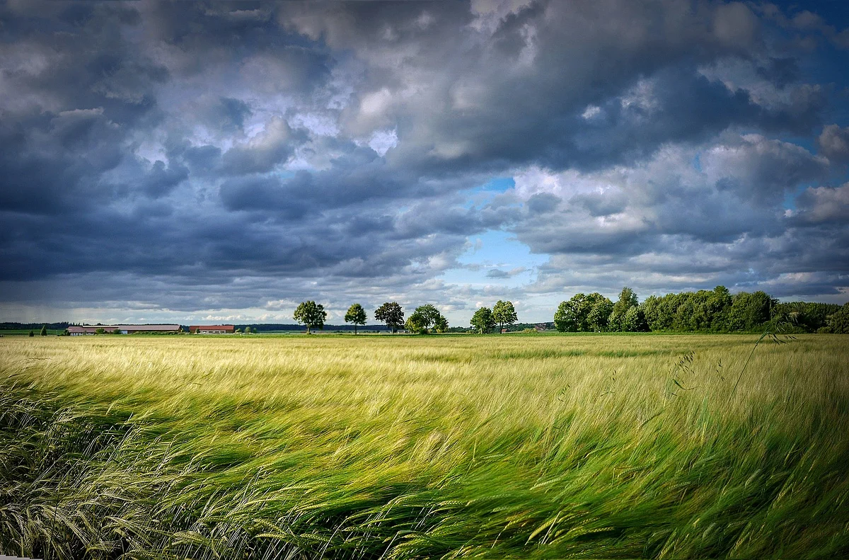 Representational Image