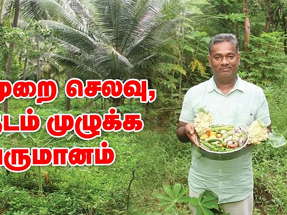 `ஒருமுறை செலவு; வருடம் முழுக்க வருமானம்' - அசத்தும் ஐந்தடுக்கு சாகுபடி! | Five Layer Farming