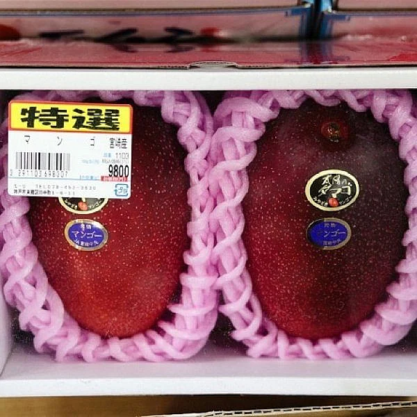 மியாசாகி