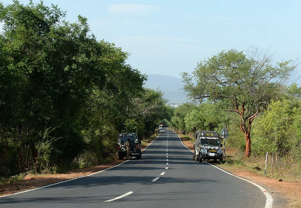 வனத்துறை