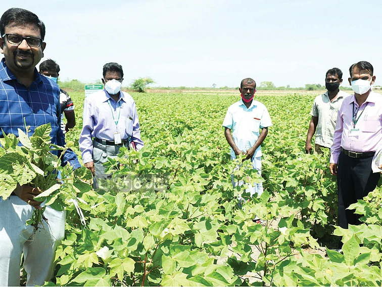 4,542 ஹெக்டேர்...9,094 விவசாயிகள்! கண்மாய்த் தண்ணீரில் இரண்டாம் போகம்... வழிகாட்டிய ஆட்சியர்!