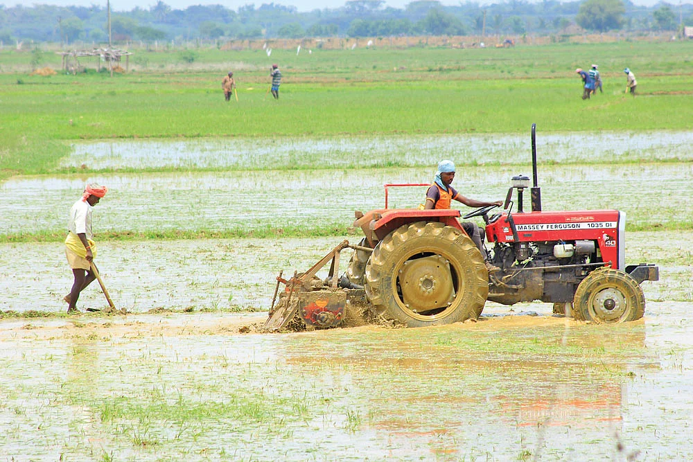 விவசாயம்