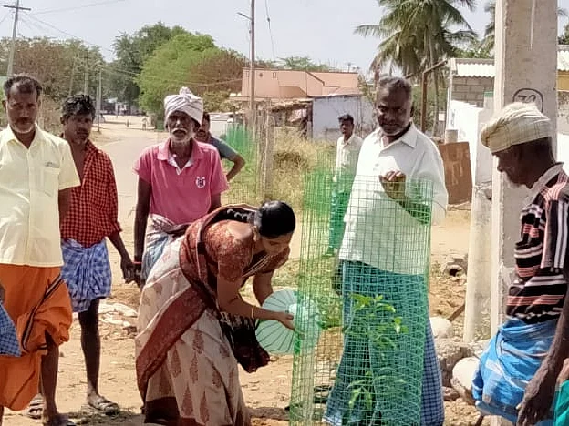 வீட்டுக்கு ஒரு மரம், சீர்செய்யப்படும் நீர்நிலைகள்; வறண்ட ஊராட்சியை பசுமையாக்கும் ஊராட்சிமன்றத் தலைவி