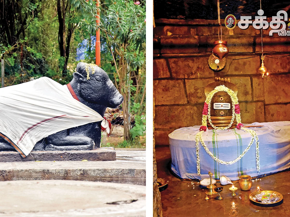 சந்தான வரம் தரும் சந்தனக் காப்பு
