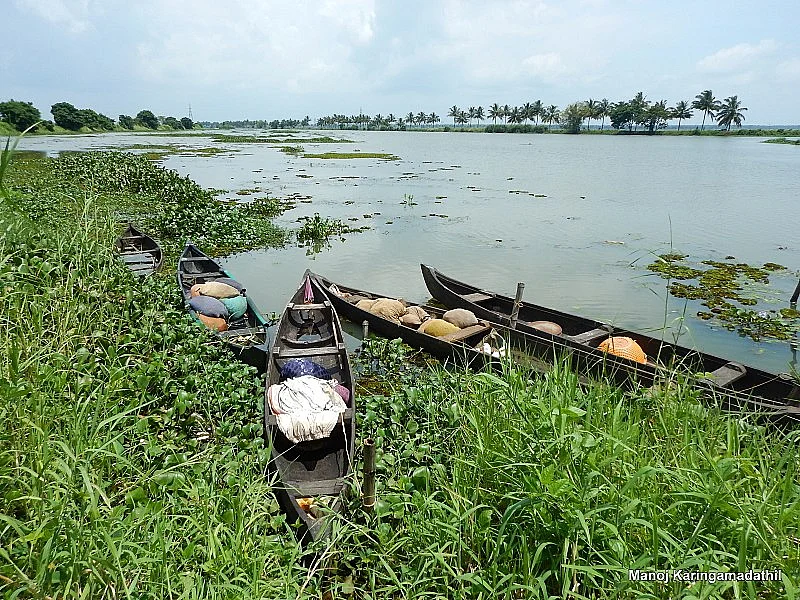 Kole Wetlands