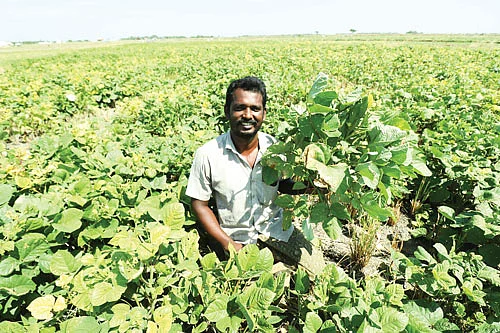 கஜேந்திரன்