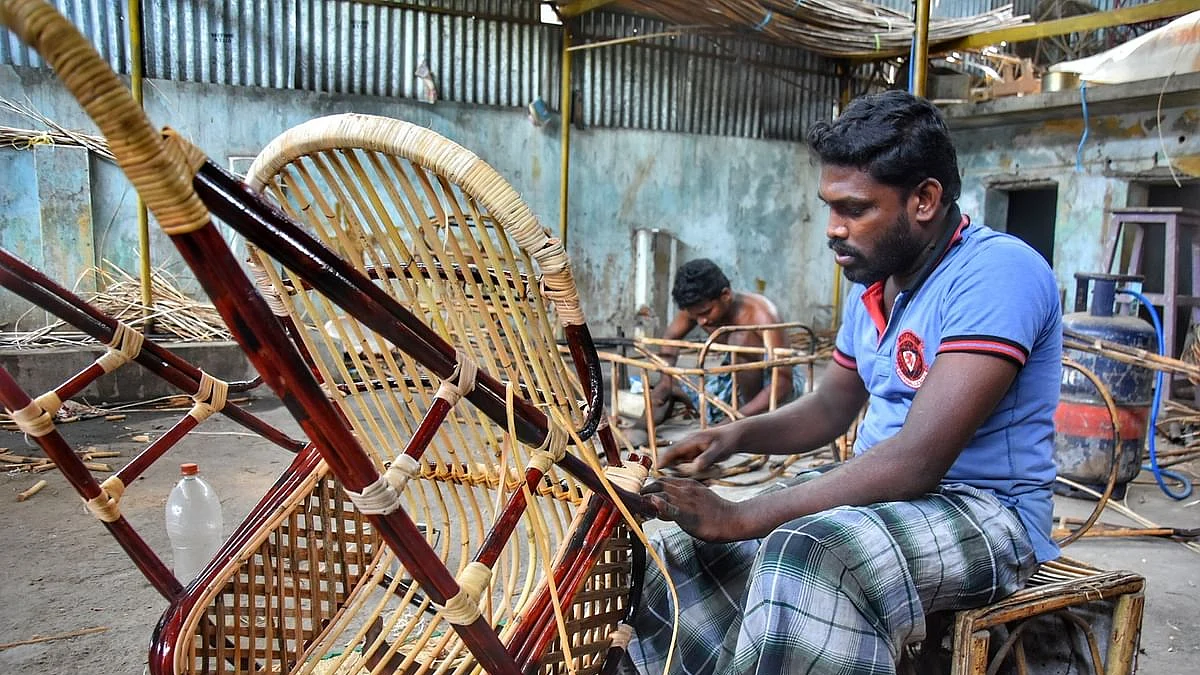 பிரம்பு