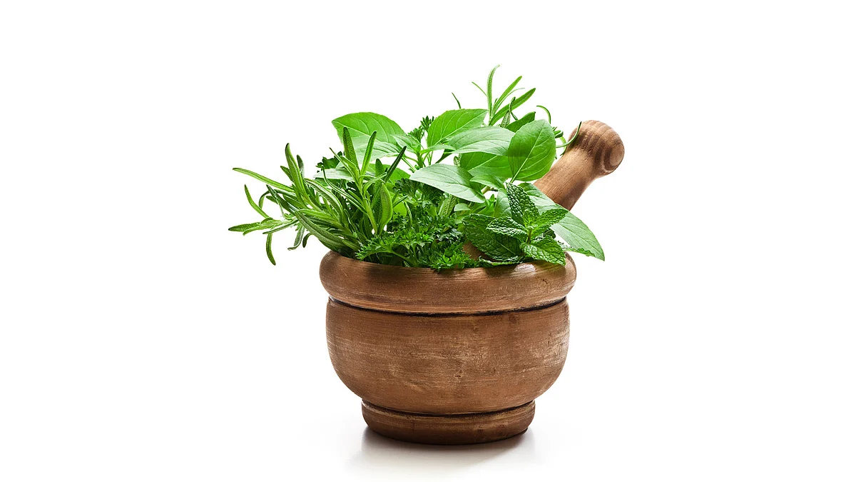 மூலிகை