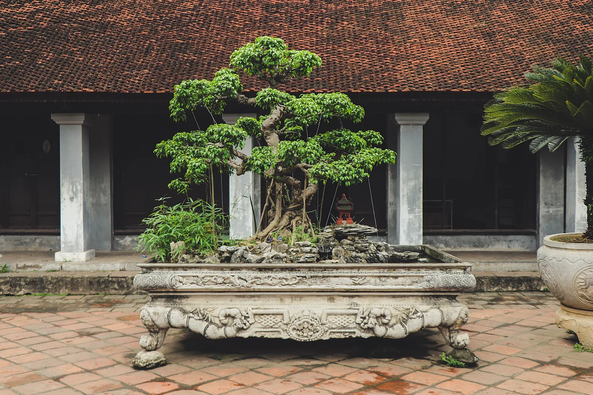 Representational Image