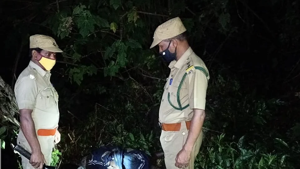 வனத்துறையினர்