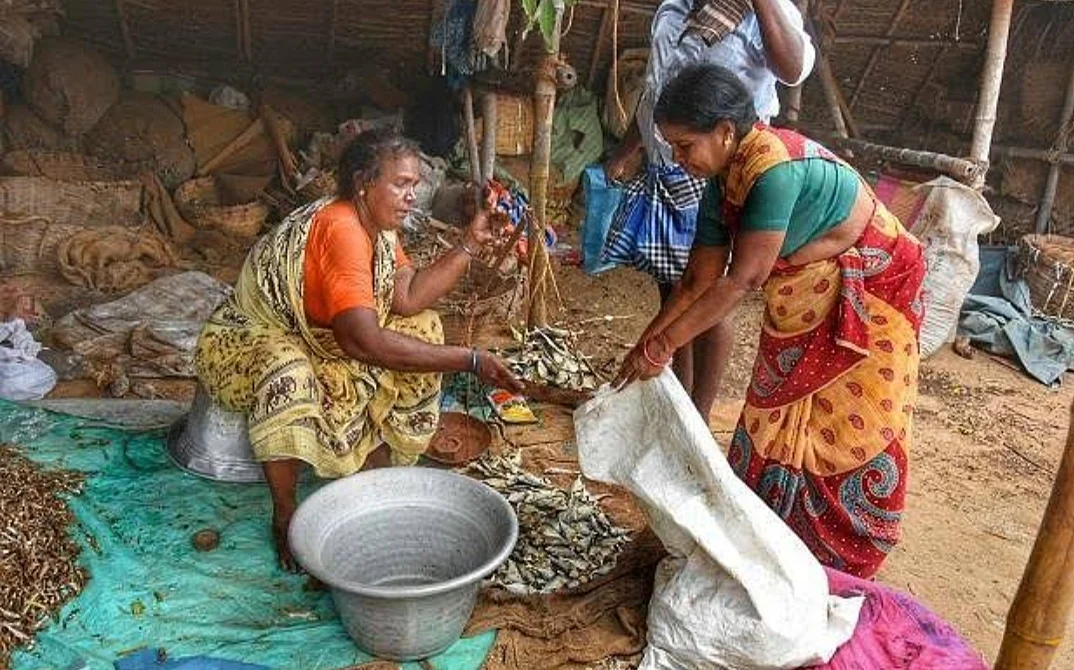 கருவாடு