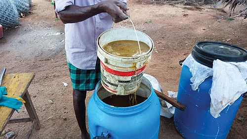 பண்ணையில்